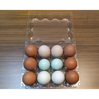全新現貨 雞蛋 包裝盒 雞蛋收納盒 透明蛋盒 雞蛋盒 12粒裝 12枚 12顆 12格 塑膠蛋盒 雞蛋托 透明包裝盒