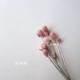 千日紅圓仔花乾燥花乾燥花材 賣場滿0才會出貨 不含運費 蝦皮購物