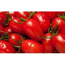 玉女番茄**6斤禮盒裝溫室離土栽培皮薄爆甜多汁~安心無毒零農藥補充健康又美味