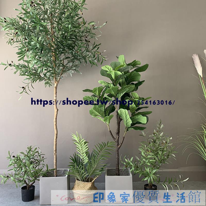 仿真植物落地盆景植物假植物室內仿真盆栽北歐ins仿真植物橄欖樹天堂鳥大型室內家居假綠植裝飾盆栽景 蝦皮購物