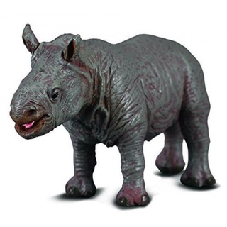 COLLECTA動物模型 - 小犀牛