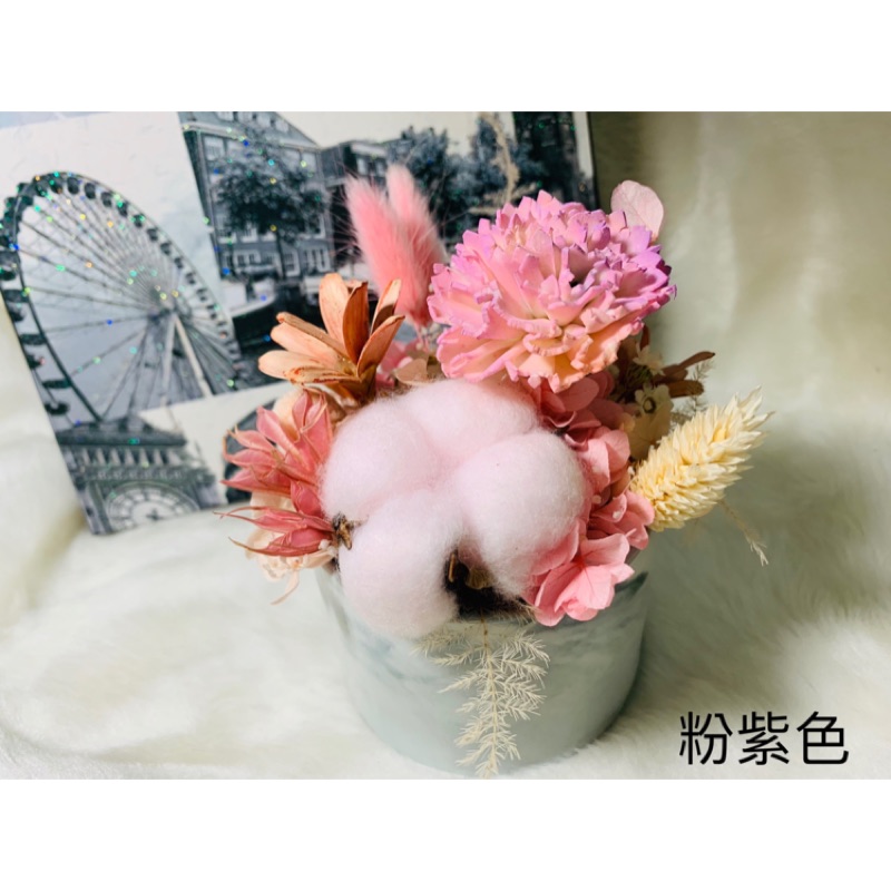 乾燥花永生花小物盆栽 蝦皮購物