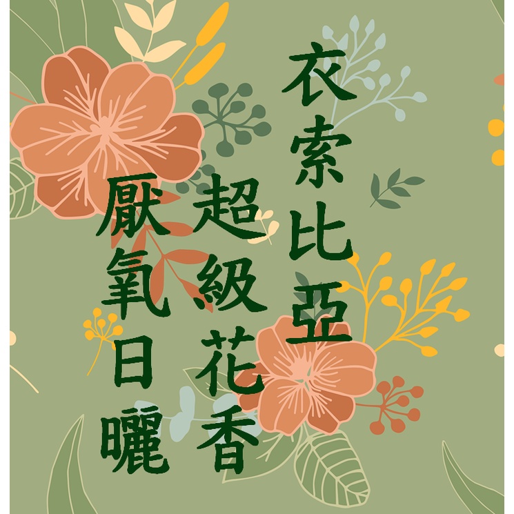 獵豆工坊 非洲衣索比亞谷吉罕貝拉超級花香厭氧日曬g1 咖啡生豆５００ｇ 蝦皮購物