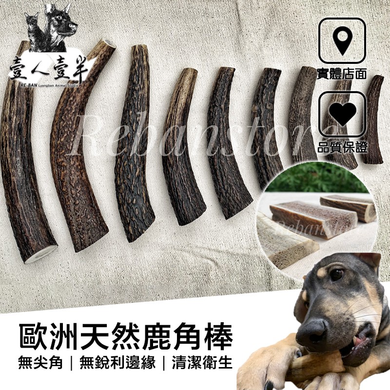 【毛糧行】🔥鹿角全面2根9折🔥 狗狗鹿角 中藥食用級鹿角 無尖角 無銳利邊緣 寵物潔牙骨 狗狗舒壓 狗狗啃咬狗潔牙骨 #1