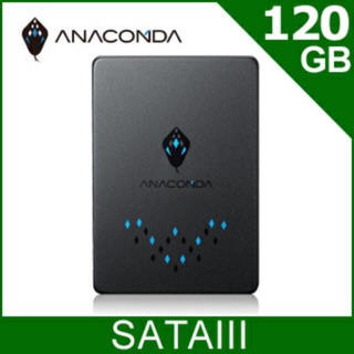 巨蟒入門款 TS 120GB 固態硬碟