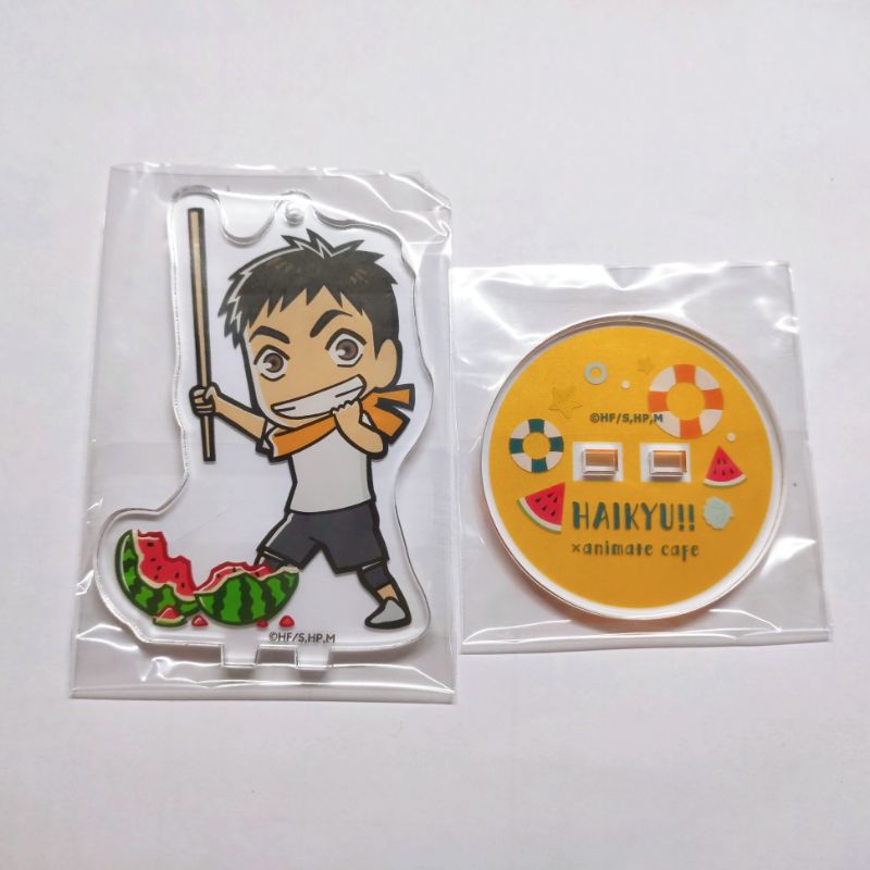 排球少年 排球 animate cafe 小立牌 澤村大地 大地隊長