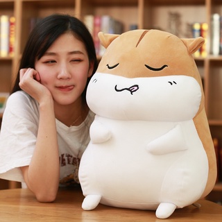 【❤️限時促銷❤️】可愛倉鼠 毛絨玩具 公仔 少女心 玩偶 兒童佈娃娃 女生睡覺抱枕 生日禮物