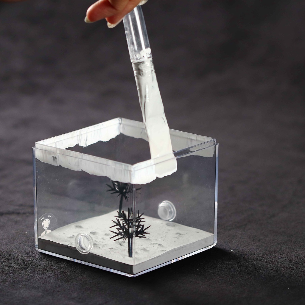 捕蟻人工作室 代塗防逃世界最強防逃液適用99 9 蟻種舉尾蟻黑棘蟻都不怕 蝦皮購物