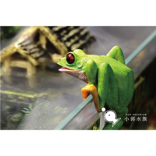 小郭水族【杯緣子-青蛙 】可掛在缸壁 精巧可愛 / SS-033 景品 動物 造景 紅眼樹蛙