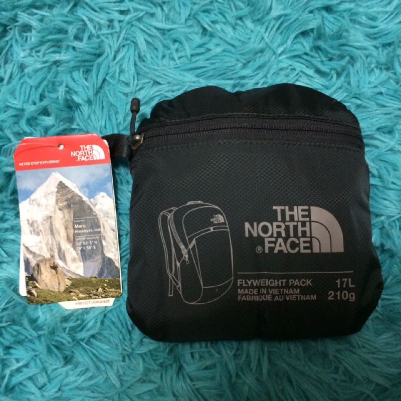 ［The North Face］Flyweight Pack 17L_輕量後背包_可收納_瀝灰色_保證正品