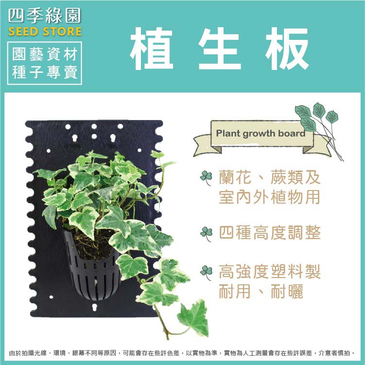 植生板(黑) 植床板 花架板 蘭花 鹿角蕨 各種植物適用【四季綠園】