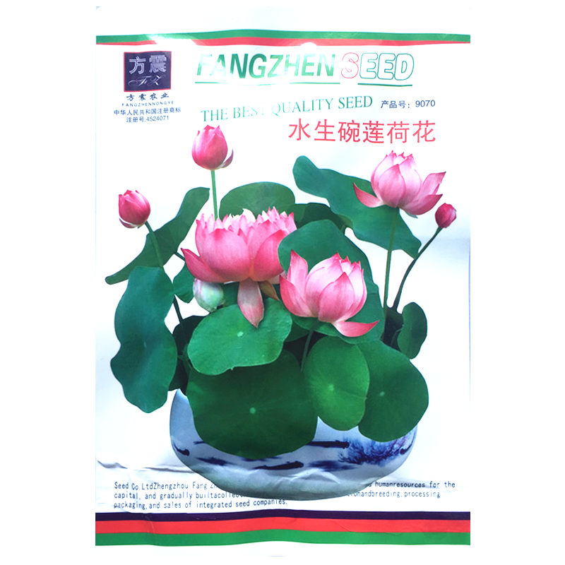 種子夯六倍利花種子陽台桔梗盆栽垂吊半邊蓮翠蝶花種子藍色陽台吊蘭花籽ja5i 蝦皮購物