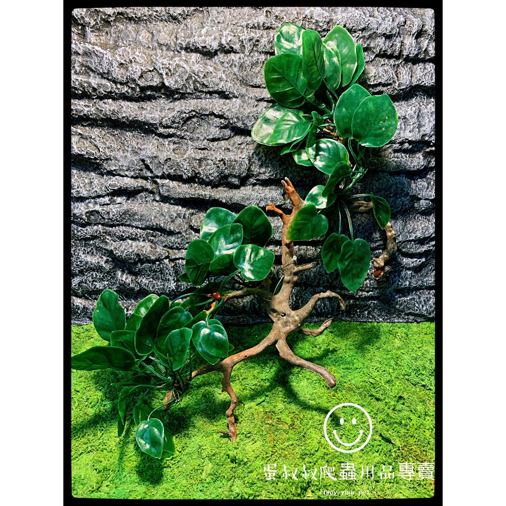 蛋叔叔-B2502仿真植物/樹藤/藤蔓/樹枝/變色龍/高冠/鬆獅蜥/鬣蜥/造景/老爺樹蛙/半水景/蛇/睫角守宮/樹蛙