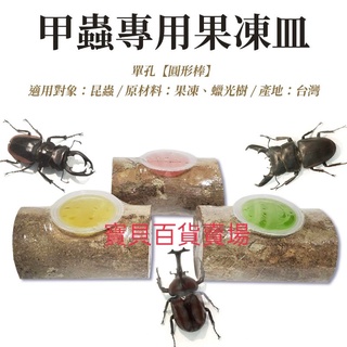 果凍臺 甲蟲專用果凍臺【單孔】圓棒型 長條狀 天然原木 鍬形蟲 獨角仙 昆蟲