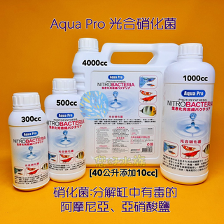 AQUAPRO光合硝化菌│300cc 500cc 1000cc│硝化菌分解有毒亞硝酸NO2氨NH3│魚缸養水❦您好水族❦