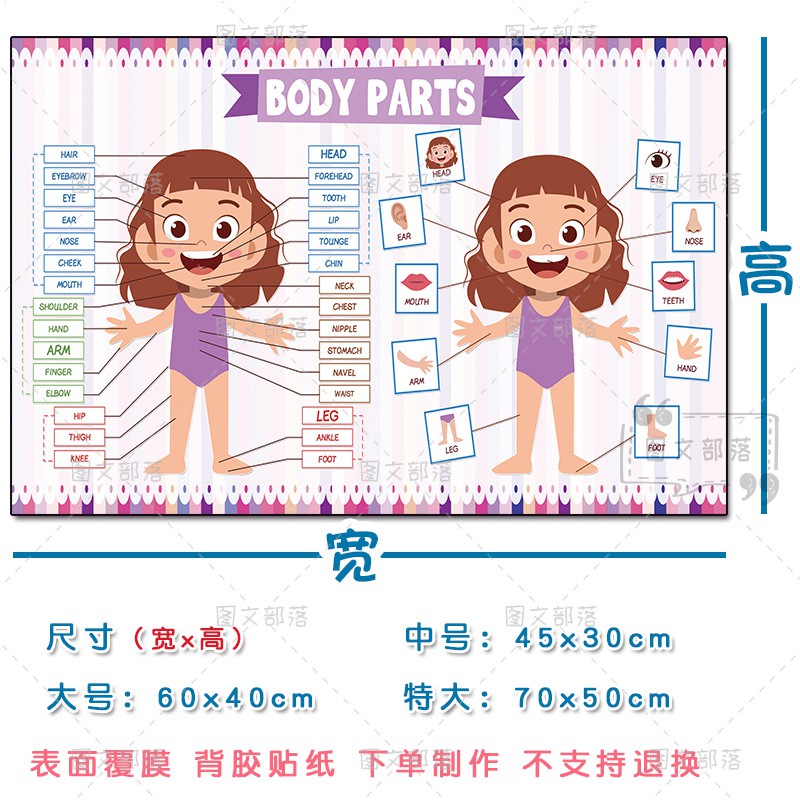 新品预售 幼兒園人體器官bodypart英語單詞早教認知身體部位中英文貼紙教具 蝦皮購物