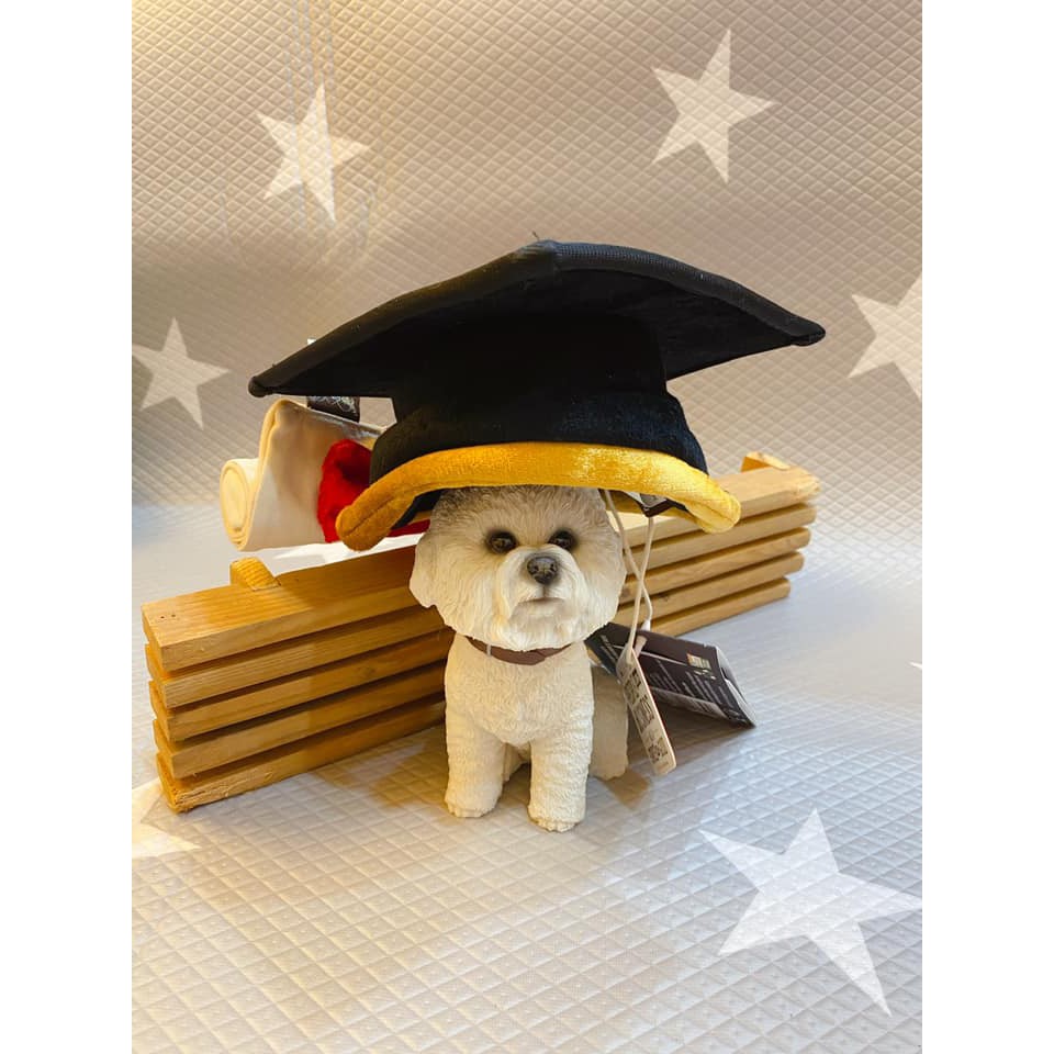 ~✽*快樂歐昔比*✽~  寵物陪伴抗憂鬱玩具 P.L.A.Y開學季畢業帽與結業證書