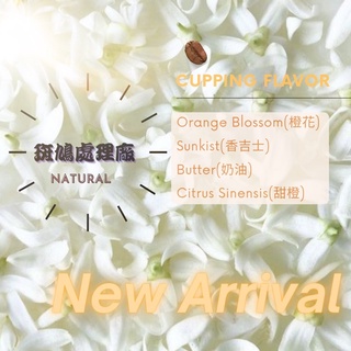 即將完售👉🏻單品咖啡 衣索比亞 西達瑪 班莎 聖塔維尼村 斑鳩處理廠 日曬 G1 卡弗洛精品咖啡 全新產季