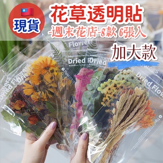 『臺灣現貨 附發票』週末花店 手帳加大透明貼紙 不易破PET花草貼紙 蕨類素材貼紙 手帳植物貼紙 透明防水裝飾貼