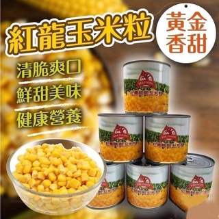 紅龍健康首選超鮮甜玉米粒340g/罐
