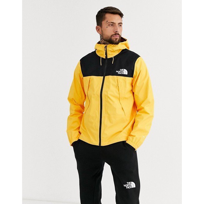 tnf 1990 mountain jacket