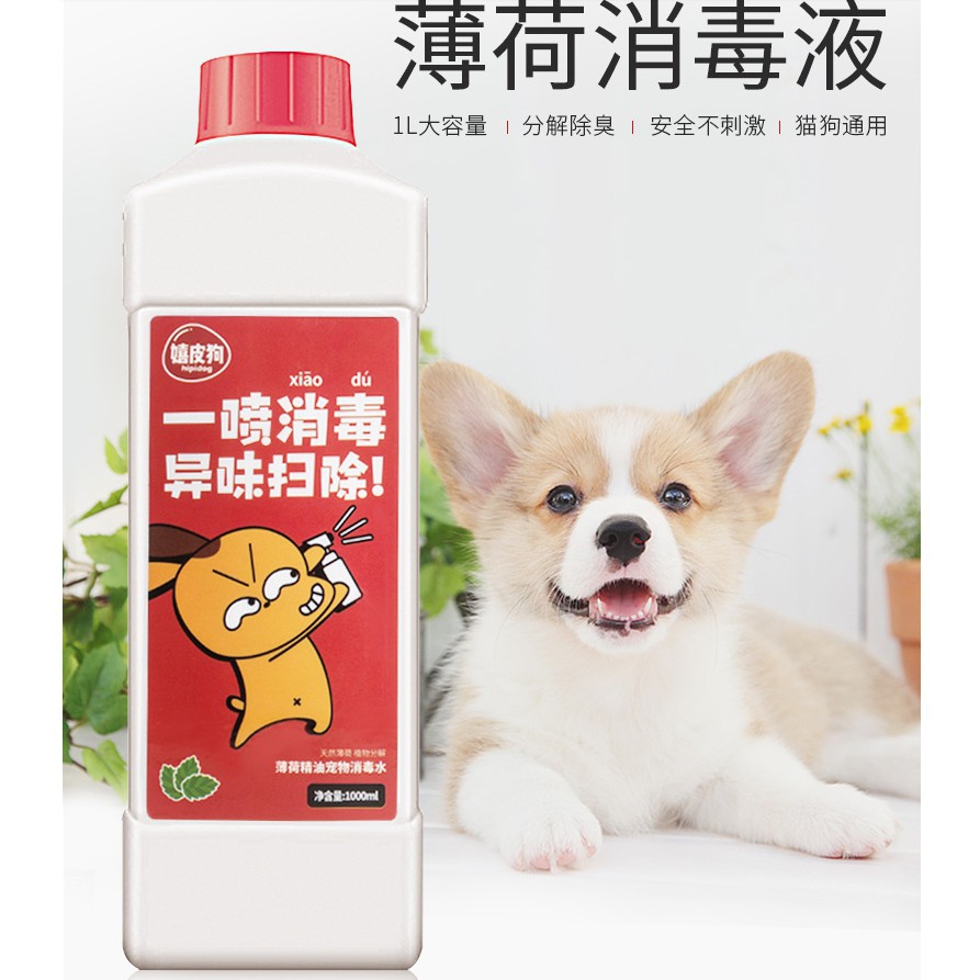 荒野 パワーセル の面では 犬 尿 掃除 Powerofhealth Org