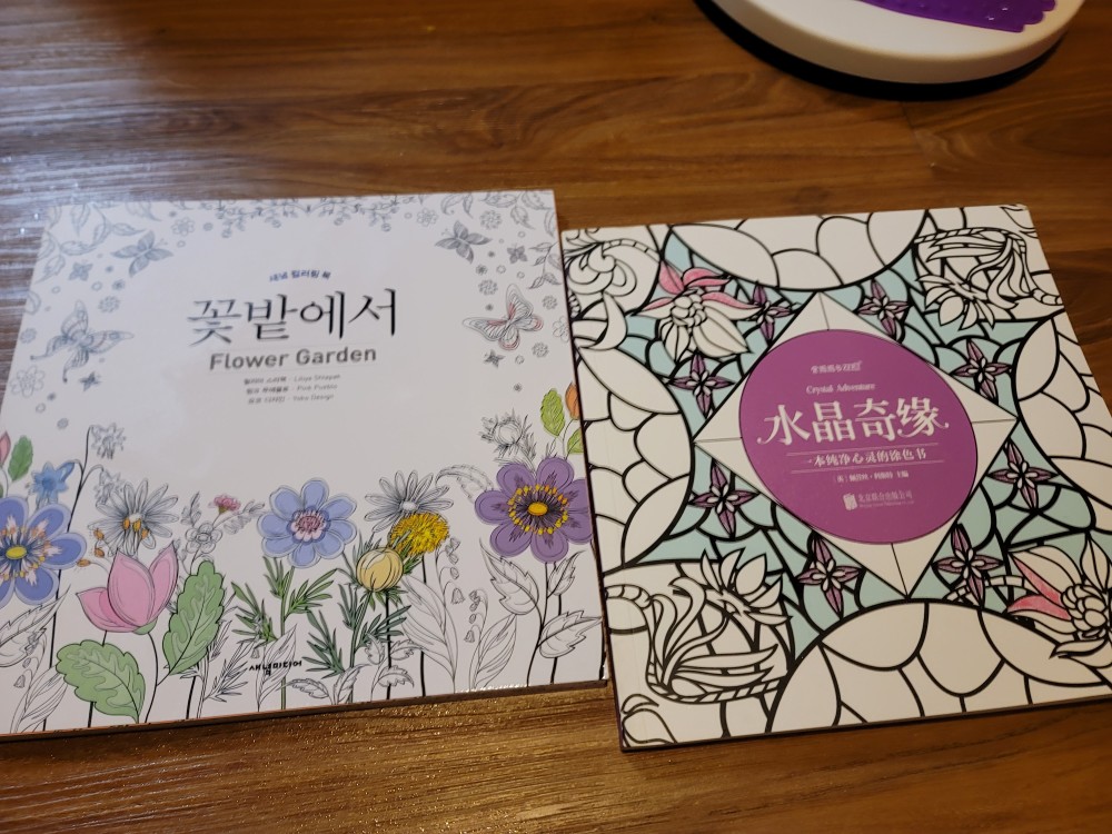 限時 99免運 現貨 舒壓著色本畫畫本塗鴉本韓國flower Garden涂色本花的庭院成人減壓花卉花朵涂鴉繪畫著 蝦皮購物