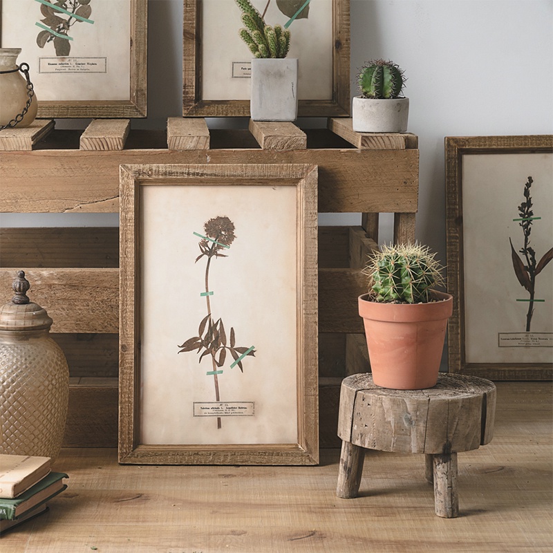 Retro 乾花標本裝飾畫植物標本壓花實木邊框掛畫乾花壓花diy相框 蝦皮購物