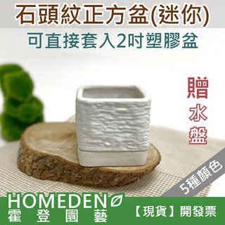 【臺灣現貨】石頭紋正方盆(迷你) 正方盆 陶瓷花盆 花器 多肉花盆 仙人掌花盆 居家盆栽【HOMEDEN霍登園藝】