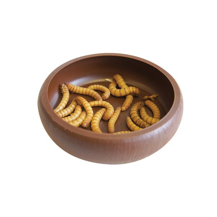 微笑的魚水族 英國komodo 科魔多 蟲蟲飼盤 陶瓷防逃爬蟲食盆餵食盆麵包蟲麥皮蟲水盆水盤 蝦皮購物