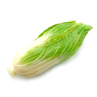 場地櫥窗佈置假蔬果模擬食物蔬菜水果模型拍攝道具 白菜模型 假水果模型 假水果 模擬水果 假蔬果 假蔬菜