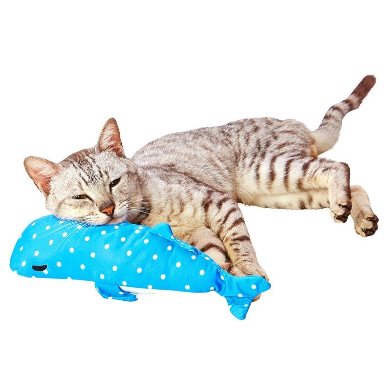 日本 Petio 派地奧 夏天 降溫 涼感抱枕 豆腐鯊 鯨鯊 貓 娃娃 紓壓 貓玩具(現貨)