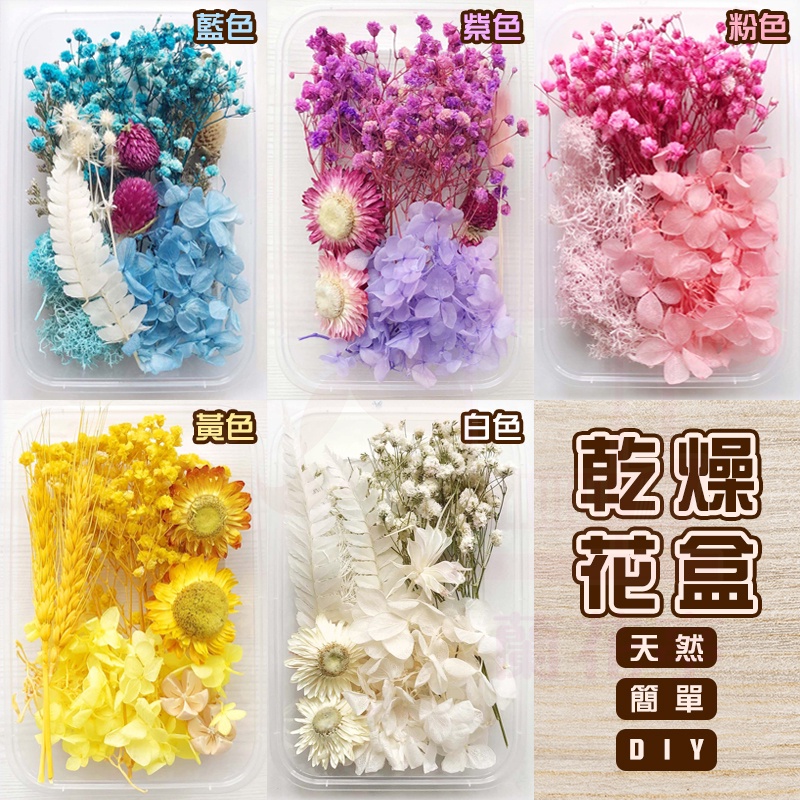 乾燥花材料包松果松塔樹枝永生花仿真花素材不凋花保鮮花人造花乾燥花束婚禮佈置新娘捧花 蝦皮購物