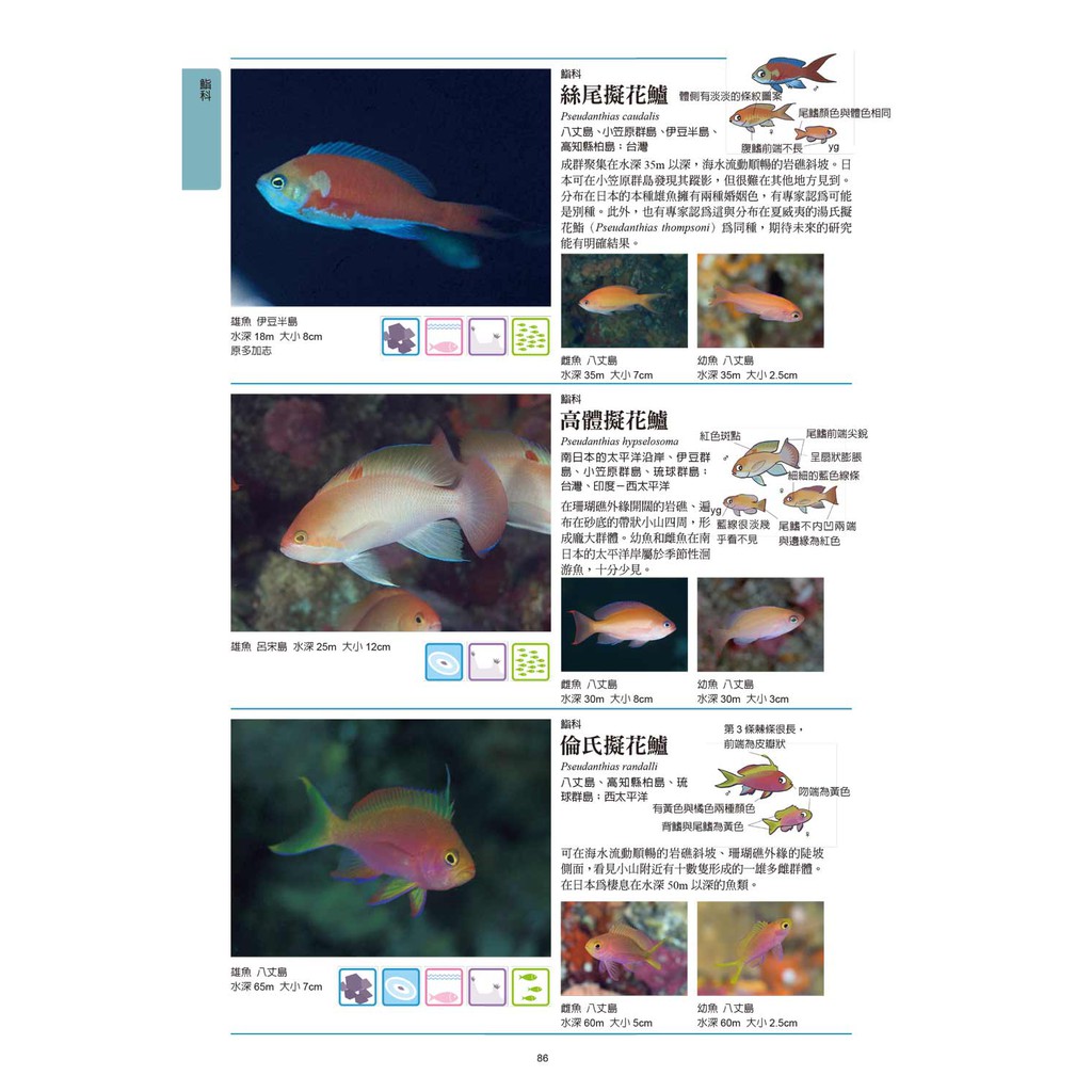 海水魚圖鑑 蝦皮購物