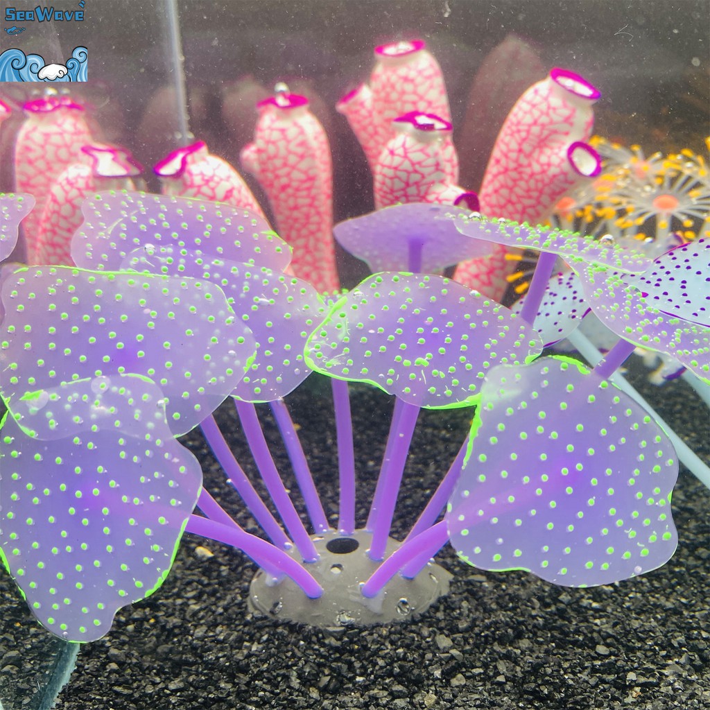 極速發貨 精品極高仿真度水草塑膠水草假草魚缸飾品水族箱裝飾裝飾水草造景水草懶人造景j1036 蝦皮購物