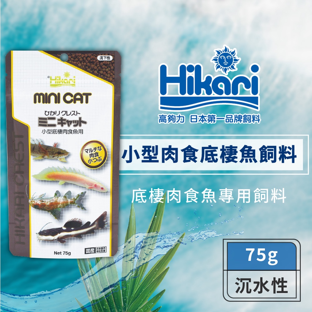 Hikari 高夠力 小型肉食性底棲魚飼料 75g 恐龍魚 多鰭魚 鱘魚 魟魚 六角恐龍