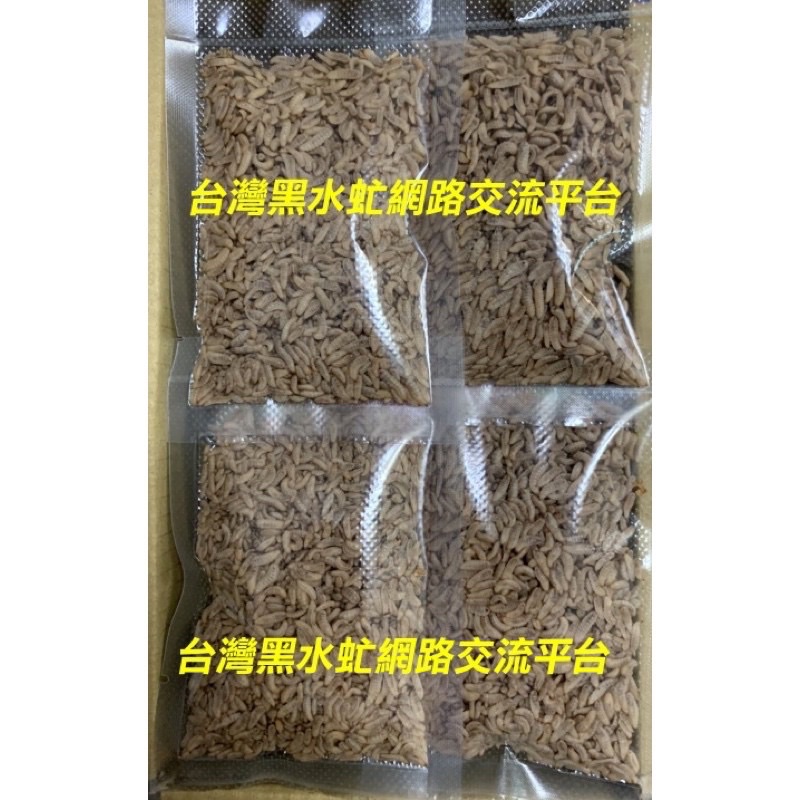 歐盟級冷凍黑水虻鮮蟲3 0 50克小蟲 小包裝 鳥魚飼料 白頭翁 綠繡眼 麻雀 金魚 孔雀魚 神仙魚 蝦皮購物