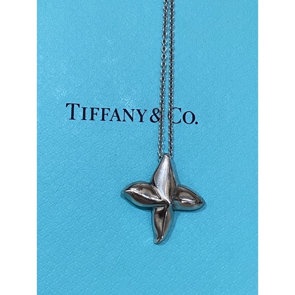Tiffany二手星星十字項鍊