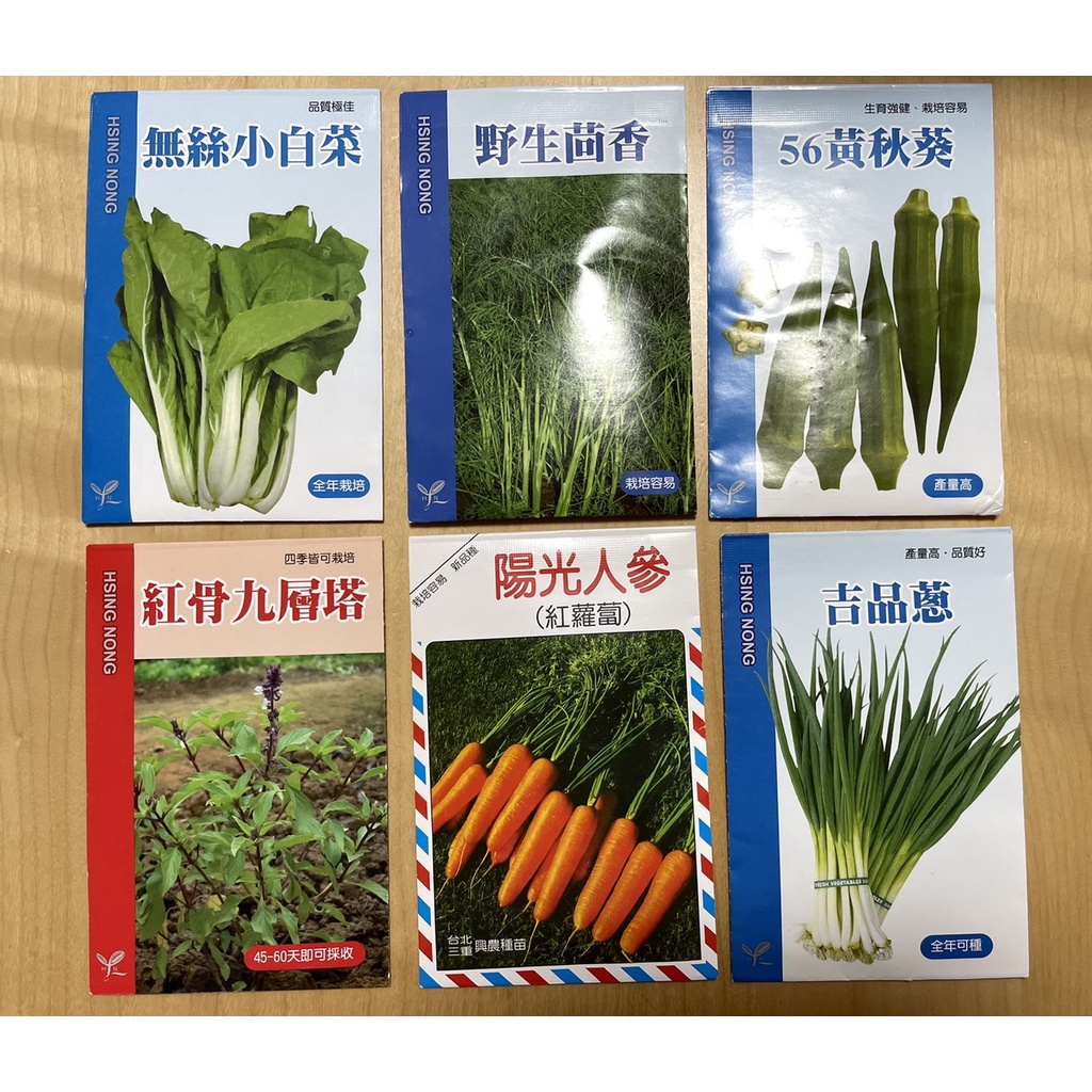 【巨路生活】蔬菜種子 居家種菜 陽台農夫 香料青菜四季皆可種植 可食用