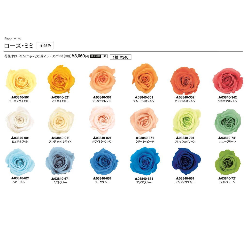 Zakka Flower 日本進口大地農園玫瑰 不凋花材單朵玫瑰現貨多色 蝦皮購物
