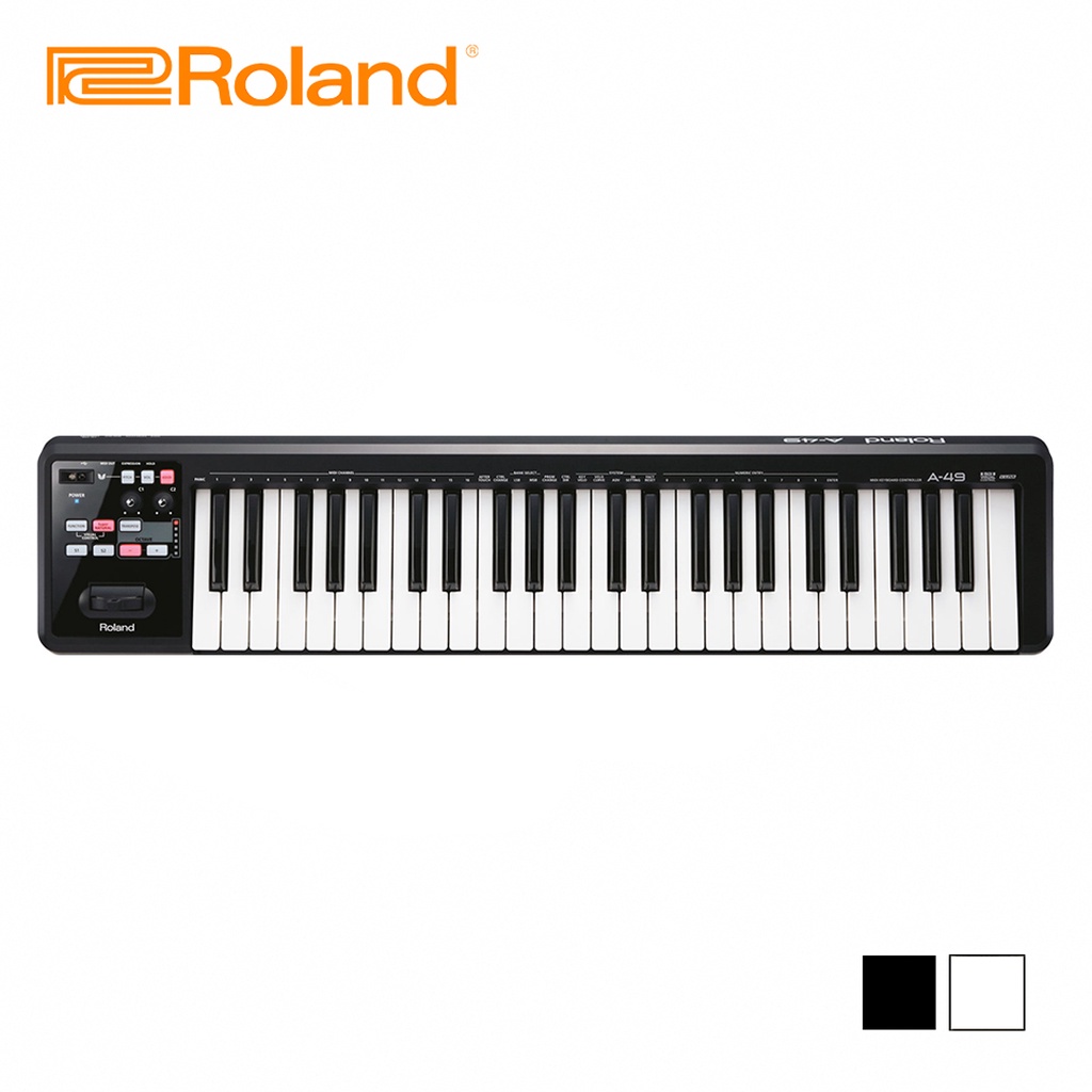 Roland A49 MIDI 49鍵主控鍵盤 兩色款【敦煌樂器】