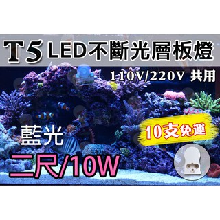 T5達人(新品試賣) T5 LED不斷光層板燈 串接式支架燈2尺10W藍光 台灣晶片裝飾燈氣氛夜店健身房水族燈舞台燈