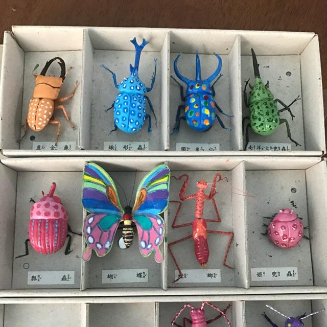 甲蟲彩繪系列 蟲形野趣館素胚昆蟲 蝦皮購物