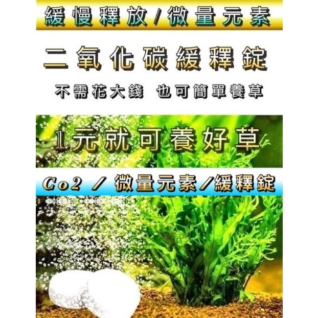動力水族 微量元素水草co2錠二氧化碳緩釋錠二氧化碳片co2片莫斯莫絲怪厥怪蕨默絲默斯 蝦皮購物