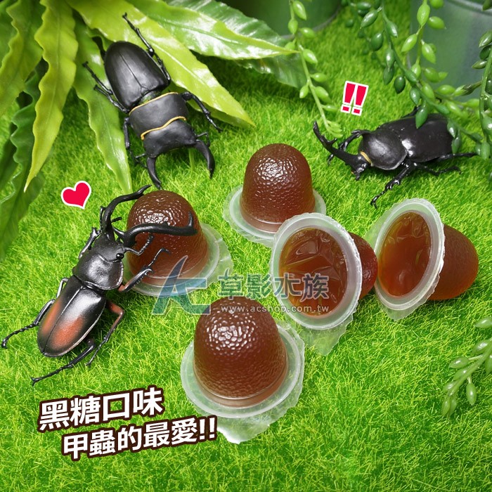 【AC草影】Insect Man 黑糖口味甲蟲果凍（16g/30入）【一包】