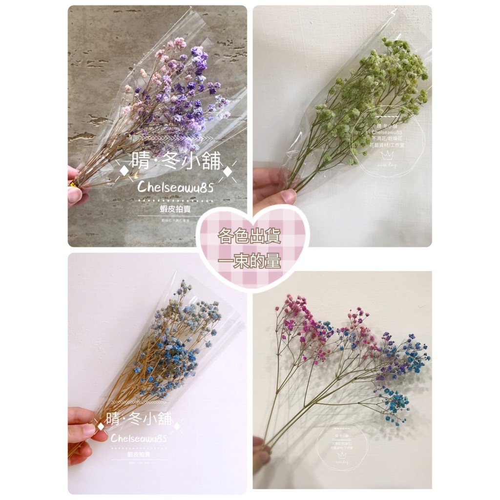 晴冬小舖 進口厄瓜多乾燥滿天星超齊全 全11色 乾燥花材乾燥花束不凋花手作鄉村風乾燥花畢業花束