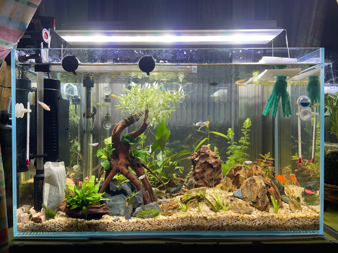 墨耘 Ista 2代高演色專業水草造景燈2尺60cm 3尺90cm 4尺1cm 5尺150cm Led 蝦皮購物
