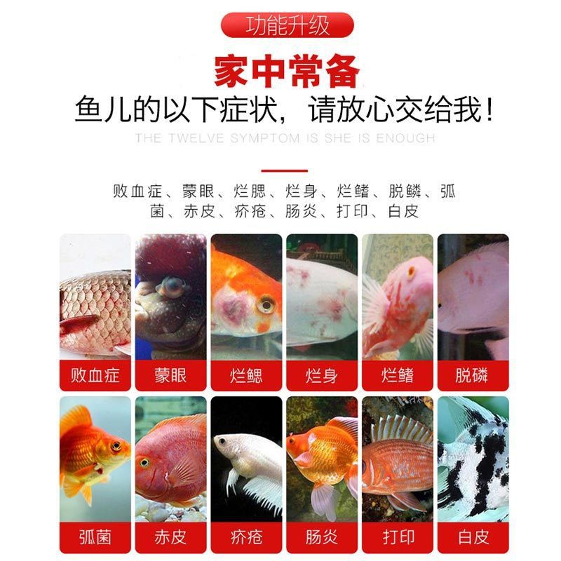 萬能金魚錦鯉魚白點白毛病爛尾爛鰓魚缸魚殺菌水觀賞 蝦皮購物