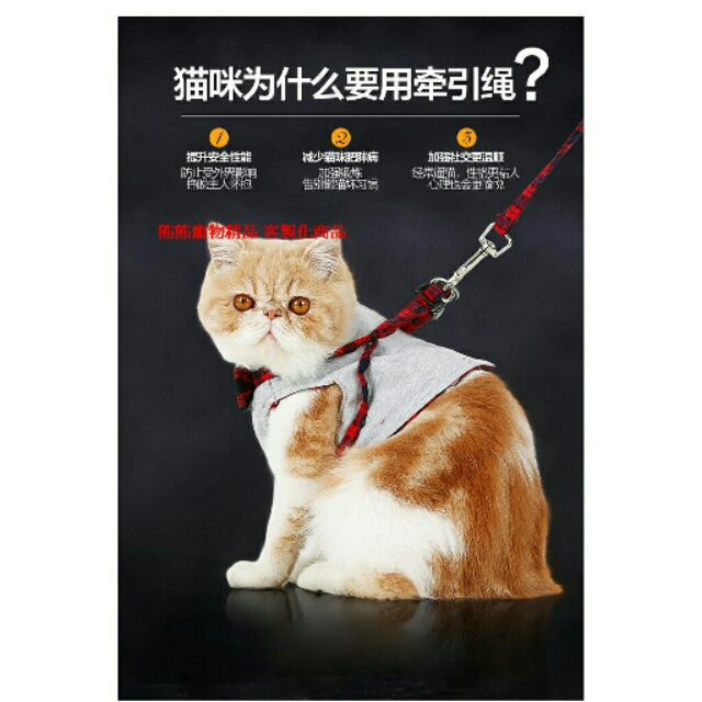 現貨貓繩子貓牽引溜貓繩貓鍊子牽引繩套裝胸背帶貓背帶 熊熊寵物精品XS-M