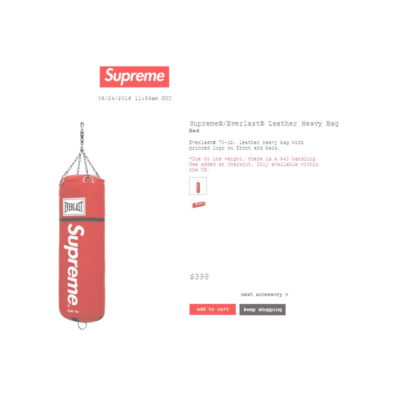 supreme everlast heavy bag